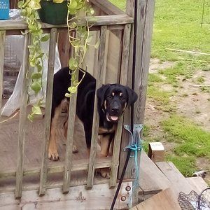 Meet your Posher, Skyler